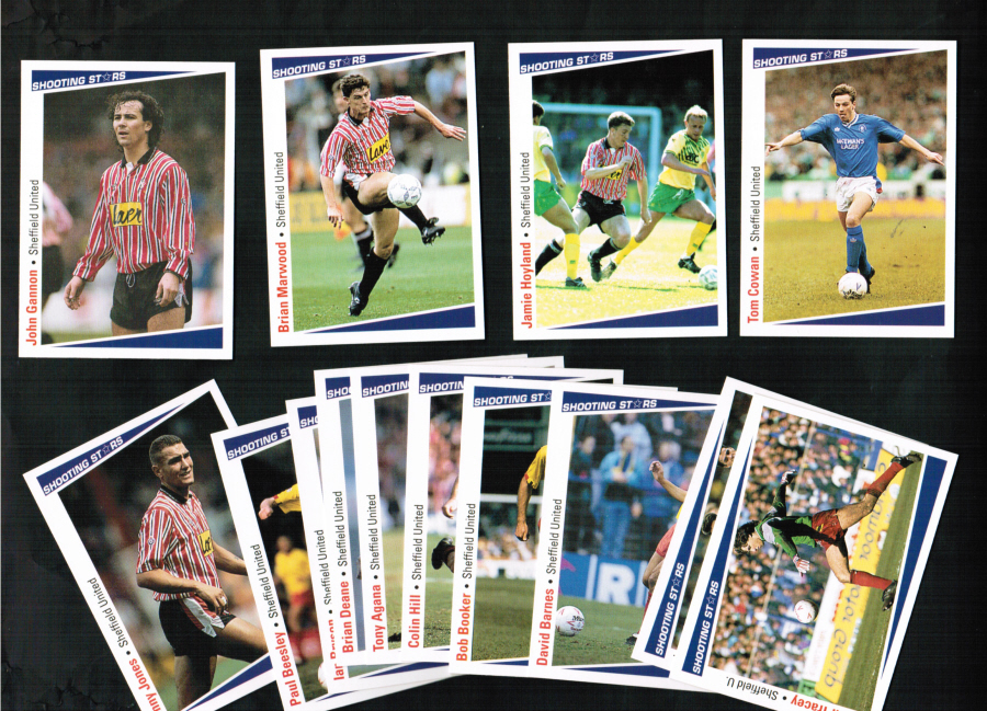 Sheffield United Football Cards 1991 Merlin Team Set